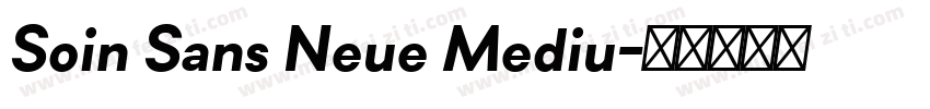 Soin Sans Neue Mediu字体转换
